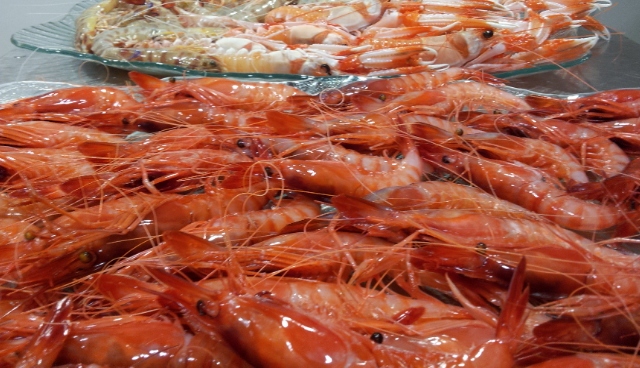 Gamba roja de Denia, muy fresca.